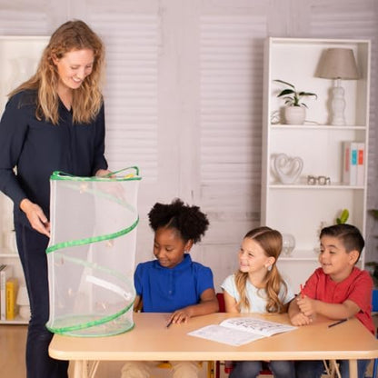 Insect Lore School Kit Refill with 33 Live Caterpillars - STEM Activity Journal & 33 Live Baby Painted Lady Butterfly Caterpillars - Cups & Tools Included - style: Refill For School kit 33