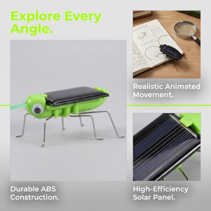 6PCS Solar Powered Bugs Toys Lifelike Solar Crickets Grasshopper Insect Toys for Boys Girls Fake Roaches Moving Simulation School Science Educational