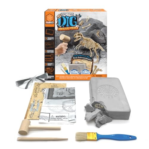 ArtSkills Dinosaur Fossil Digging Kit for Kids Dinosaur Excavation Dig Kit