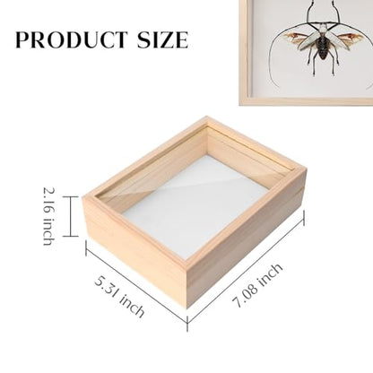Saihisday Insect Display Case Box Small Bug Display Case Shadow Box