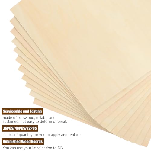 Riakrum Basswood Sheets Plywood Board Unfinished Wood Boards for Crafts for DIY Laser Projects Architectural Mini House Building Hobby Model Making(12 x 24 x 1/8 Inch,48) - size: 12 x 24 x 1/8 Inch