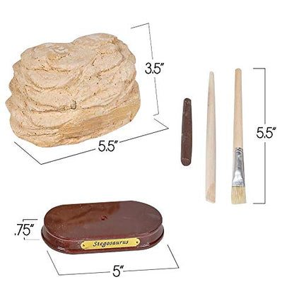 ArtCreativity Dinosaur Excavation Kit for Kids, 5.5” Stegosaurus Skull Excavating Set with Fossil Digging Tools and Stand, Fun Science Activity Toy, Educational Dinosaur Gift for Boys and Girls - style: Stegosaurus