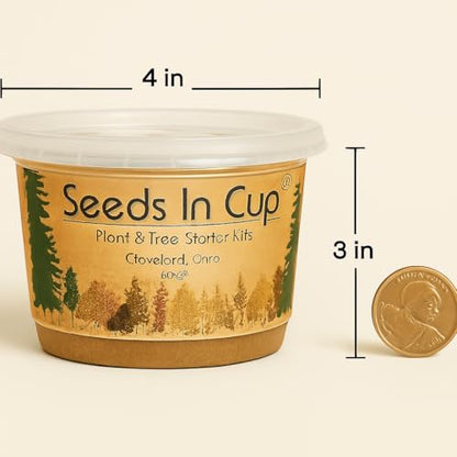 Rhubarb Grow Kit – Seeds In A Cup - Plant Starter Set – Grow Rhubarb from Seed Indoors or Outdoors – Organic Soil & Recyclable Mini Greenhouse – Easy Gardening Gift for Beginners - style: Mini Greenhouse Recyclable Plastic Planter