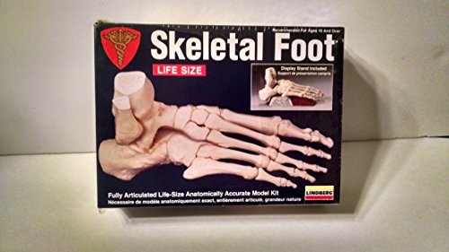 Lindberg Skeletal Foot