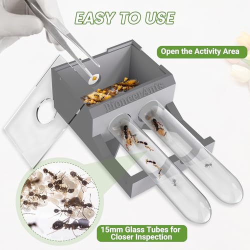 Transparent Mini Ant Farm with Dual Test Tubes for Thriving Ant Colony Observation (Gray) - color: Gray