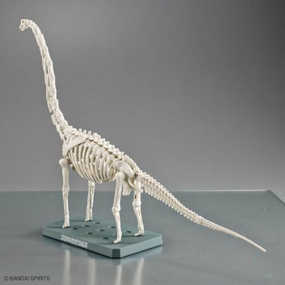 Bandai Hobby - Plannosaurus - #10 Brachiosaurus Dinosaur Model Kit