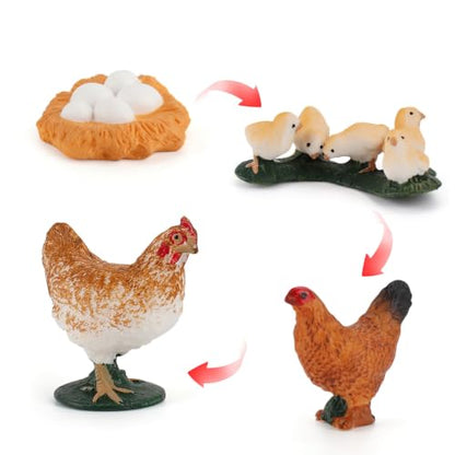 Montessori Life Cycle Animal Figurines Learning & Education Toys, Plastic Insect Life Cycle Toys, Preschool Learning Activities (Hen Goose Duck) - color: Hen Goose Duck
