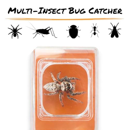 Carson BugView 5X Magnifying Glass Quick-Release Bug Catcher Indoor and Outdoor Tool for Kids or Adults (HU-10) - size: Single Pack