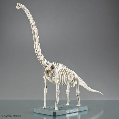 Bandai Hobby - Plannosaurus - #10 Brachiosaurus Dinosaur Model Kit