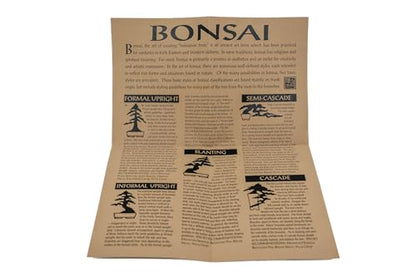Bonsai Tree | Rocky Mountain Juniper | Seed Grow Kit | The Jonsteen Company