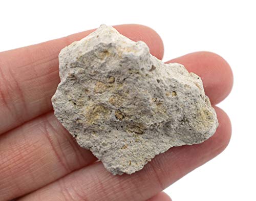 EISCO 12PK Raw Volcanic Tuff, Igneous Rock Specimens - Approx. 1" Geologist Selected & Hand Processed Great for Science Classrooms Class Pack- Eisco Labs