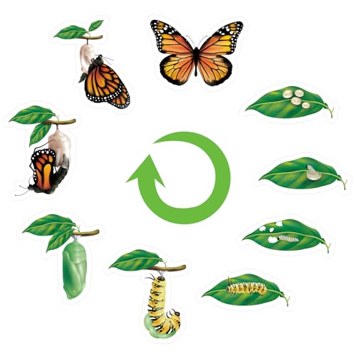 Relaxweex 9 Pcs Magnetic Butterfly Life Cycle Toys for Kid Caterpillar to Monarch Butterfly Growth Cycle Toy Insect Figures for Kids Education Preschool Classroom Insect Themed Teaching Tools Supplies