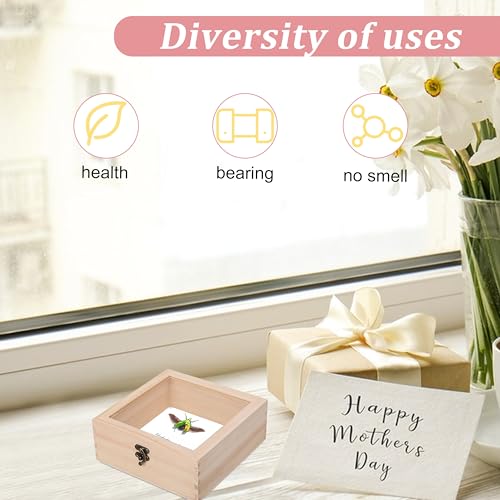 20 PCS Insect Specimen Tools Kit 4 Wooden Display Case Box with Clear Top 10 Sheets Thin Tracing Paper 2 EVA Foam Pinning Board 200 Pins 2 Tweezers 1 Scissors Tools for Winter Bugs Collection