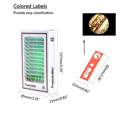 Prepared Plastic Microscope Slides with Specimens for Kids, Microscope Sample Slides Full Range of Animal/Plant/Insect/Blood Biology Slides Gift Set for Kids Microscope (60PCS) - color: 60PCS