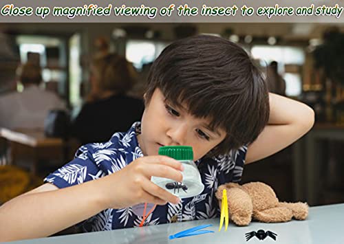 4Pack Green Bug Viewer with 5X Magnifier | Bug Jars for Kids Collecting - color: 4pack Green