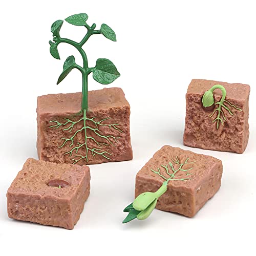 Montessori Life Cycle Animal Figurines Learning & Education Toys, Plastic Insect Life Cycle Toys for Kids, Preschool Learning Activities (Plant Bee Ant) - color: Plant Bee Ant