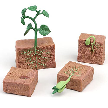 Montessori Life Cycle Animal Figurines Learning & Education Toys, Plastic Insect Life Cycle Toys for Kids, Preschool Learning Activities (Plant Bee Ant) - color: Plant Bee Ant