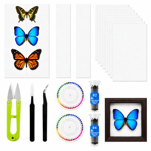 Insect Pinning Kit for Beginners with Walnut Display Case, Butterfly & Bug Specimen Mounting Kit, EVA Foam Spreading Board, Insect Pins, Tweezers, Scissors & Wing Pressing Paper - size: Kit with Walnut Display Case