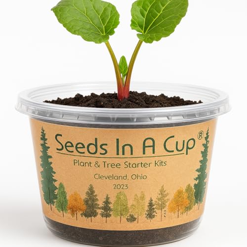 Rhubarb Grow Kit – Seeds In A Cup - Plant Starter Set – Grow Rhubarb from Seed Indoors or Outdoors – Organic Soil & Recyclable Mini Greenhouse – Easy Gardening Gift for Beginners - style: Mini Greenhouse Recyclable Plastic Planter