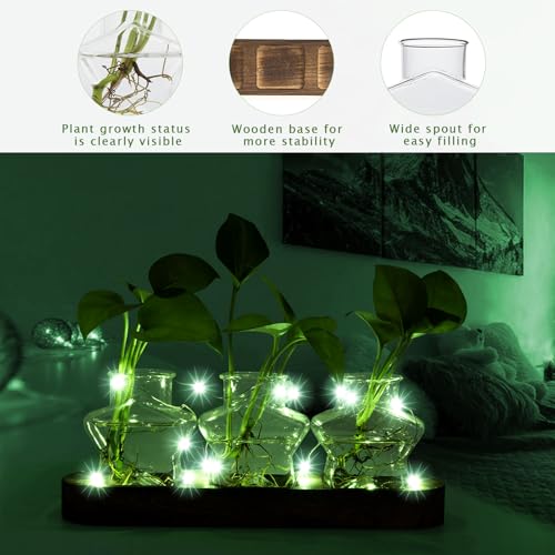 XXXFLOWER Plant Propagation Station with Wooden Stand 3 Star Jars - color: Transparent