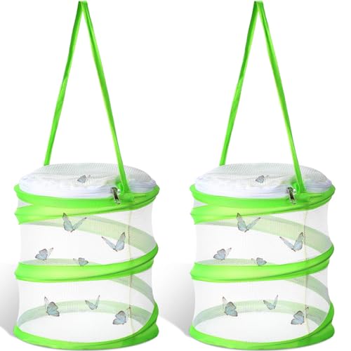 Sherr 2 Pcs Mini Butterfly Habitat Cage Mesh Foldable Insect,Green - color: Green