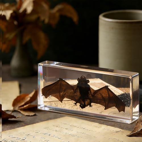 Bat Specimen,Resin Taxidermy Animal Specimens,Framed Bat Decoration for Educational Displays,Taxidermy Enthusiasts, Oddities Collectors,Science Education (5.5”×2.4“×1”) - size: 5.5”×2.4“×1”