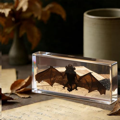 Bat Specimen,Resin Taxidermy Animal Specimens,Framed Bat Decoration for Educational Displays,Taxidermy Enthusiasts, Oddities Collectors,Science Education (5.5”×2.4“×1”) - size: 5.5”×2.4“×1”