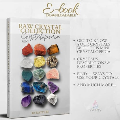 Crystals and Healing Stones Premium Kit Wooden Box - Chakra Stones Healing Crystals Set, Rose Quartz, Amethyst Cluster, Quartz Points, Chakra Pendulum (Raw Crystal Collection) - color: Raw Crystal Collection