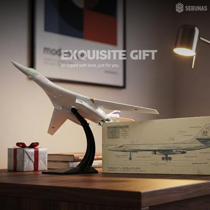 1:100 Scale TU-160 Boomber Quick Assembly Model Kit - color: 08.tu-160