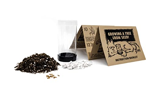 Ponderosa Pine | Tree Seed Grow Kit | The Jonsteen Company