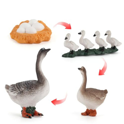 Montessori Life Cycle Animal Figurines Learning & Education Toys, Plastic Insect Life Cycle Toys, Preschool Learning Activities (Hen Goose Duck) - color: Hen Goose Duck