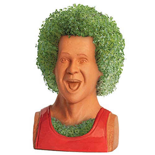 Chia Pet Richard Simmons with Seed Pack, Decorative Pottery Planter, Easy to Do and Fun to Grow, Novelty Gift, Perfect for Any Occasion - style: Richard Simmons