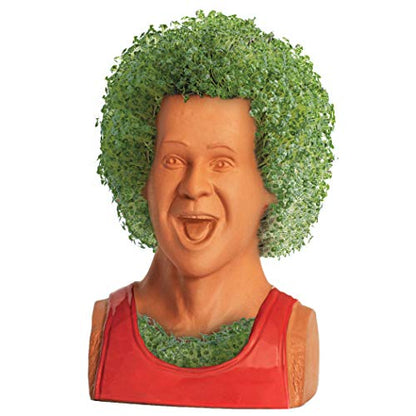 Chia Pet Richard Simmons with Seed Pack, Decorative Pottery Planter, Easy to Do and Fun to Grow, Novelty Gift, Perfect for Any Occasion - style: Richard Simmons
