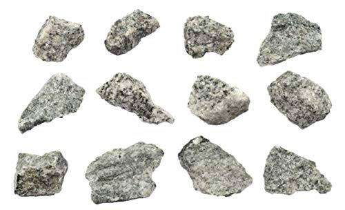 EISCO 12PK Raw Porphyritic Granite, Igneous Rock Specimen - Approx. 1"- Geologist Selected & Hand Processed - Great for Science Classrooms