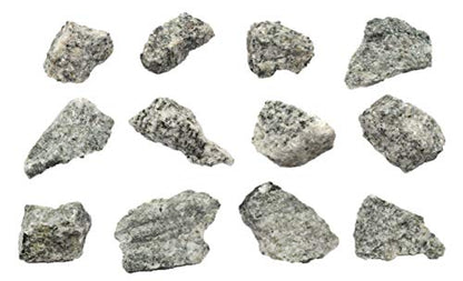 EISCO 12PK Raw Porphyritic Granite, Igneous Rock Specimen - Approx. 1"- Geologist Selected & Hand Processed - Great for Science Classrooms