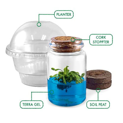 Venus Flytrap Kit, Live Venus Fly Trap Terrarium Included/DIY Beginner Friendly Starter Kit, Educational Growing Plant, Exotic Native