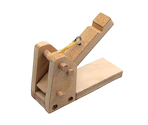 Miniature Catapult Kit - Build Yourself - STEM Learning - Comes Explore Force, Acceleration, Center of Mass, Hooke's Law & More - Garage Physics by Eisco