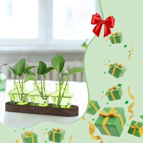 XXXFLOWER Plant Propagation Station with Wooden Stand 3 Green Star Jars - color: Green