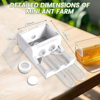 Transparent Mini Ant Farm with Dual Test Tubes for Thriving Ant Colony Observation - color: white