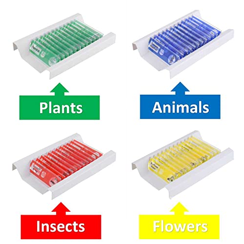 48 PCS Prepared Microscope Slides Set Insects Animals Flowers Plants Plastic Sample Specimens for Students Education