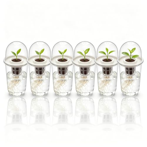 6 Pack Clear Hydroponic Nursery Pots with Humidity Dome for Seed Starting - color: Transparent-6 Pack