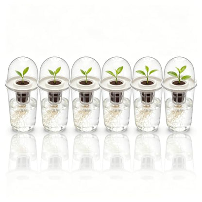 6 Pack Clear Hydroponic Nursery Pots with Humidity Dome for Seed Starting - color: Transparent-6 Pack