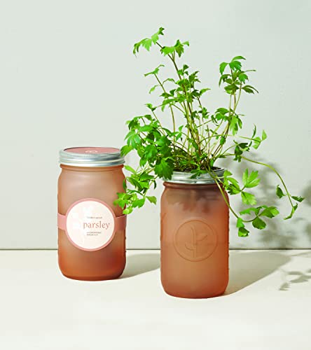 Modern Sprout Glass Jar Grow Set, Indoor Herb Garden, Seed Starter Set, Organic, Non-GMO, Parsley - color: Parsley