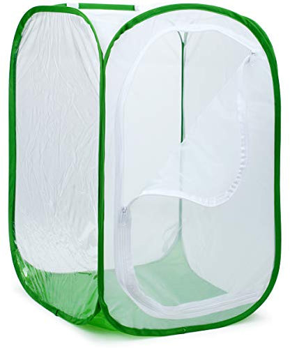 RESTCLOUD 36" Large Monarch Butterfly Habitat, Giant Collapsible Insect Mesh Cage Terrarium Pop-up 24 x 24 x 36 Inches - color: White with Green