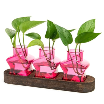 XXXFLOWER Plant Propagation Station with Wooden Stand 3 Pink Star Jars - color: Pink