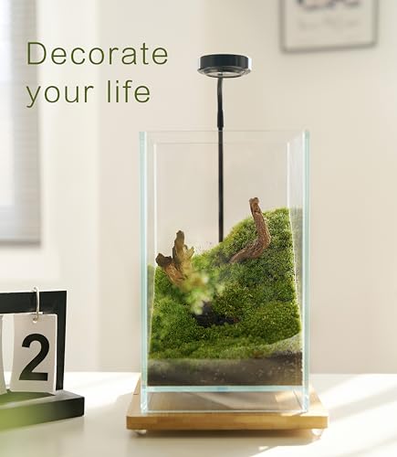 27 PCS Glass Plant Terrarium Kit with LED Grow Light– DIY Moss Terrarium Kit for Adults, Mini Garden Set for Succulent, Real Live Moss, and Air Plants – Home Office Decoration & Unique Gift fo Friend - size: Tall Cube Set