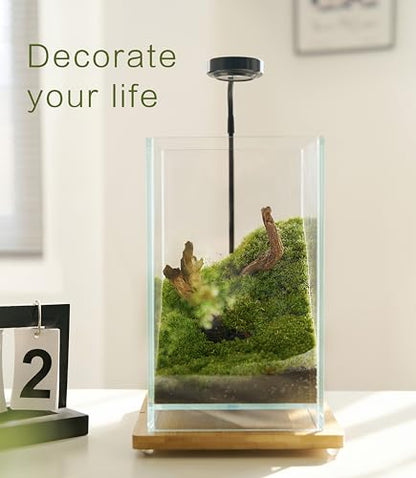 27 PCS Glass Plant Terrarium Kit with LED Grow Light– DIY Moss Terrarium Kit for Adults, Mini Garden Set for Succulent, Real Live Moss, and Air Plants – Home Office Decoration & Unique Gift fo Friend - size: Tall Cube Set