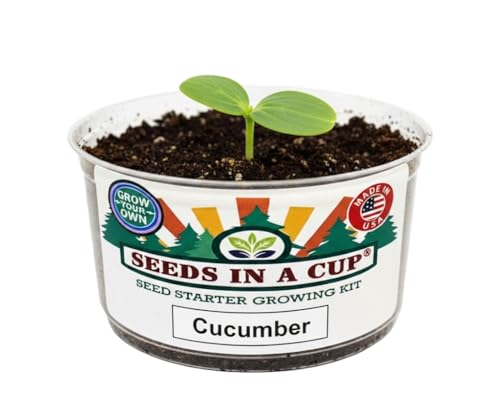 Seeds in A Cup - Plant Growing Kit (Celery) - style: CELERY