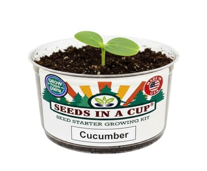 Seeds in A Cup - Plant Growing Kit (Celery) - style: CELERY