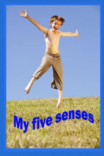 My Five Senses: See, hear, taste, smell and feel. (Jumpstart Baby Series)